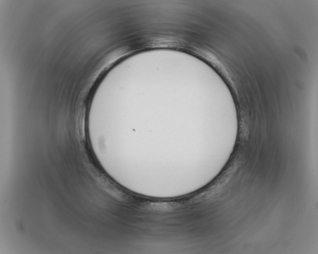 X0000112881227200910021347