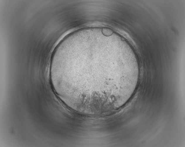 X0000112881228200910021347