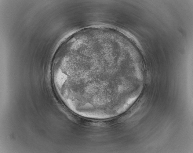 X0000112881231200910021347