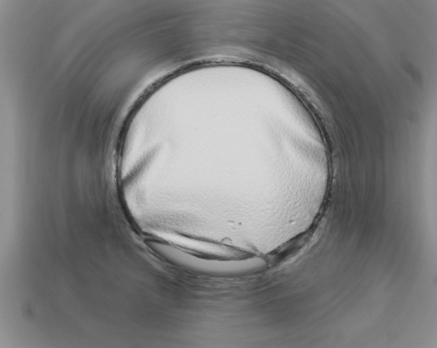 X0000112881232200910021347