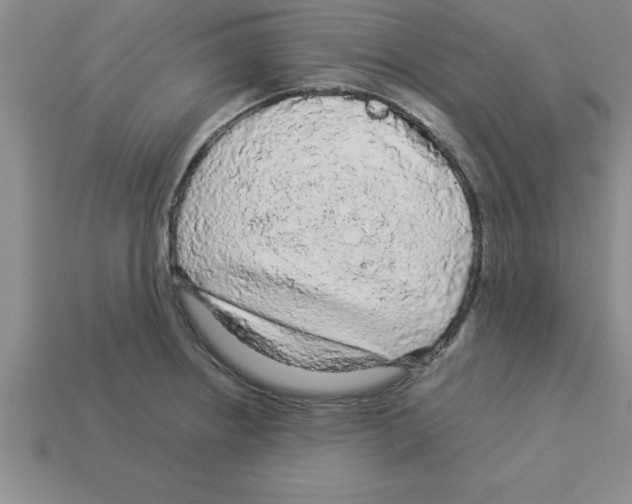 X0000112881234200910021347