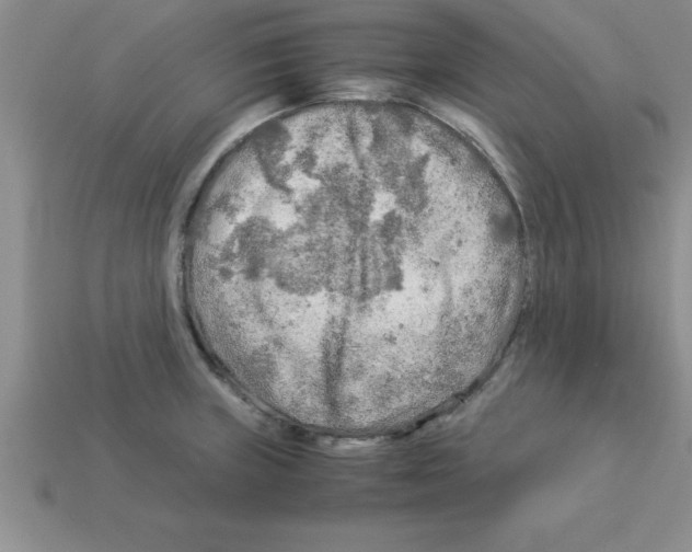 X0000112881235200910021347