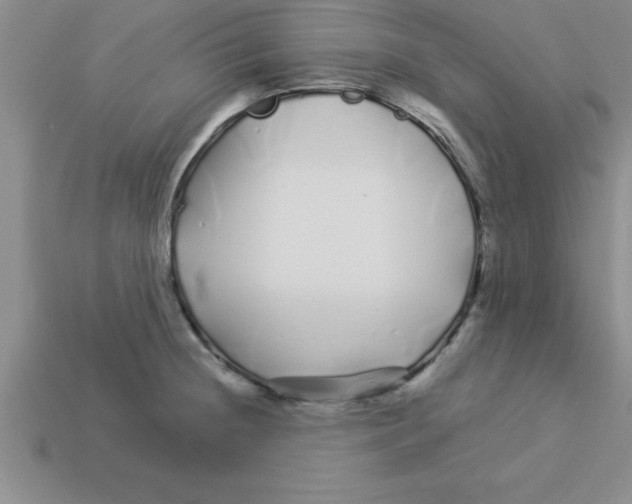 X0000112881236200910021347