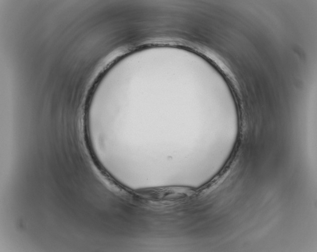 X0000112881237200910021347