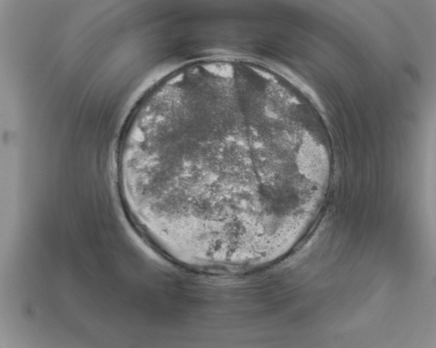 X0000112881239200910021347