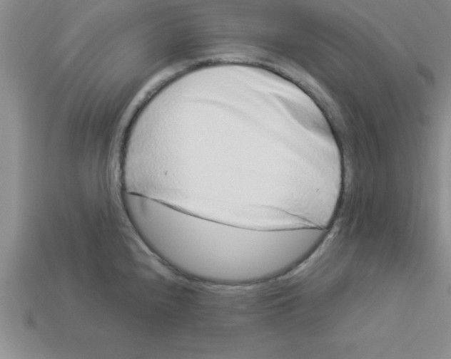 X0000112881240200910021347