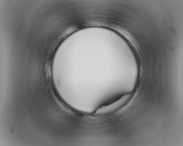 X0000112881241200910021347