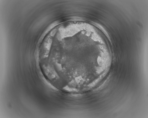 X0000112881243200910021347