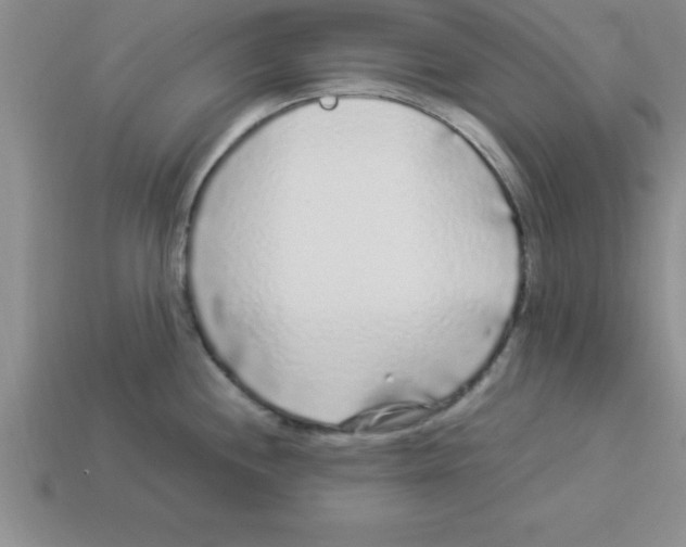 X0000112881244200910021347