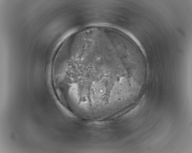 X0000112881245200910021347