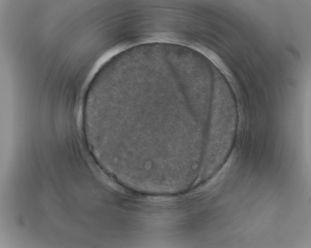 X0000112881246200910021347