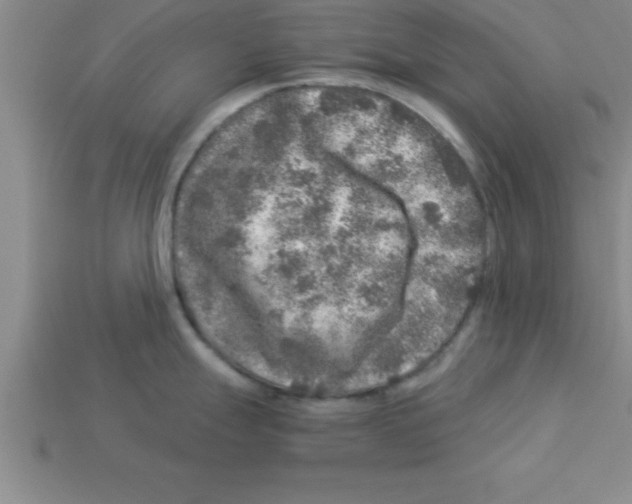 X0000112881247200910021347