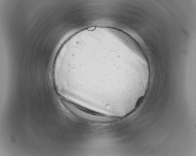 X0000112881248200910021347