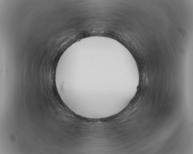 X0000112881250200910021346