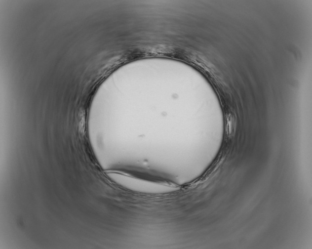 X0000112881251200910021346