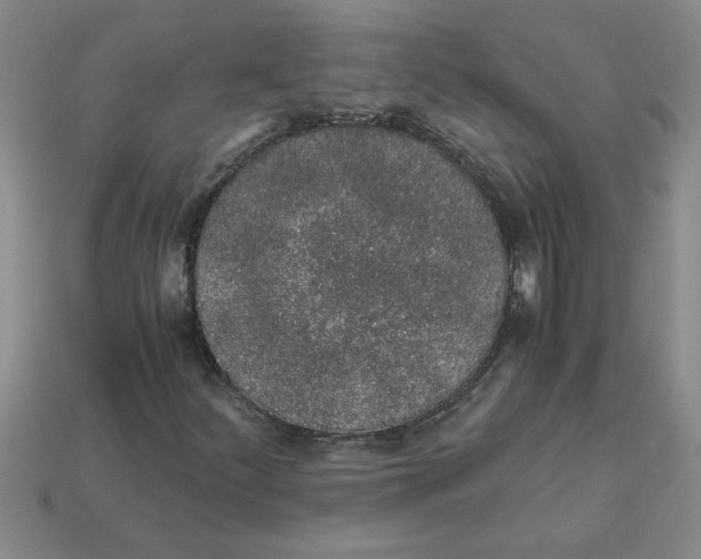 X0000112881252200910021346