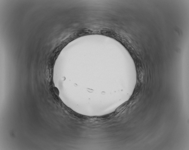 X0000112881253200910021346