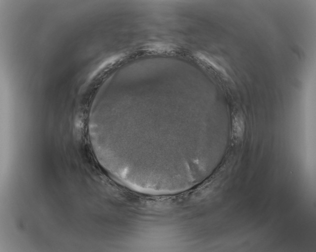 X0000112881254200910021346