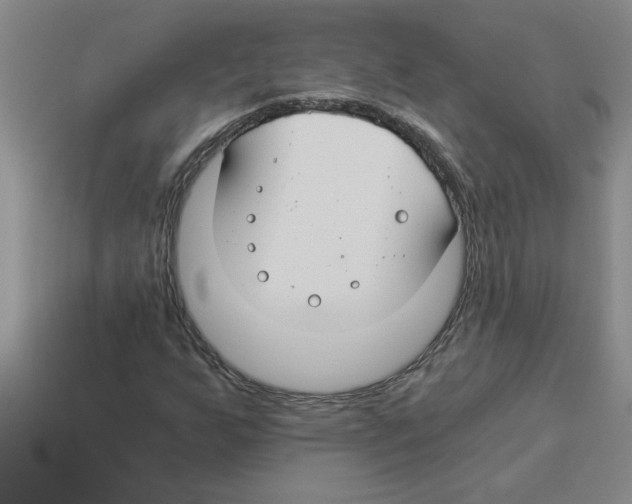 X0000112881255200910021346