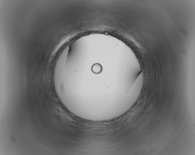 X0000112881256200910021346