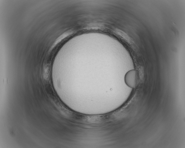 X0000112881258200910021346