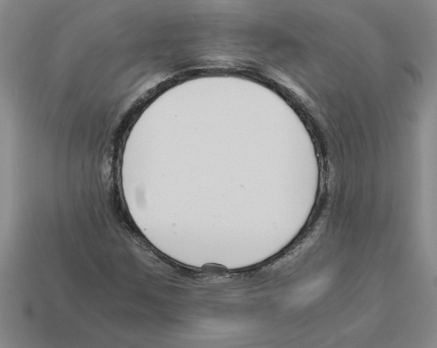 X0000112881259200910021346