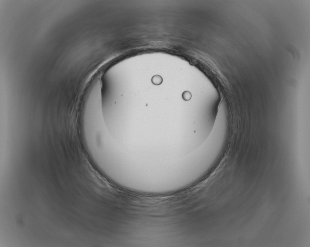 X0000112881260200910021346