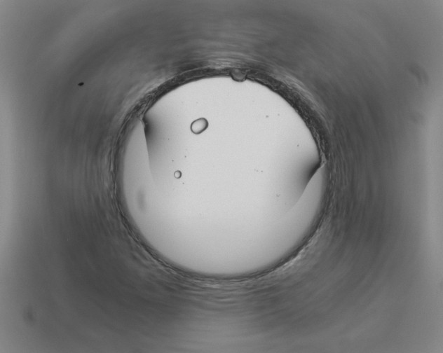 X0000112881261200910021346