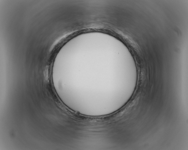 X0000112881262200910021346