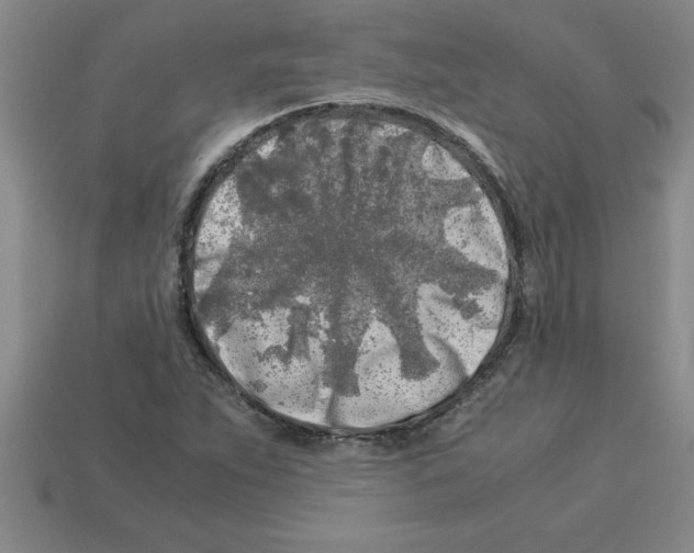 X0000112881263200910021346