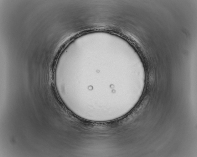 X0000112881267200910021346