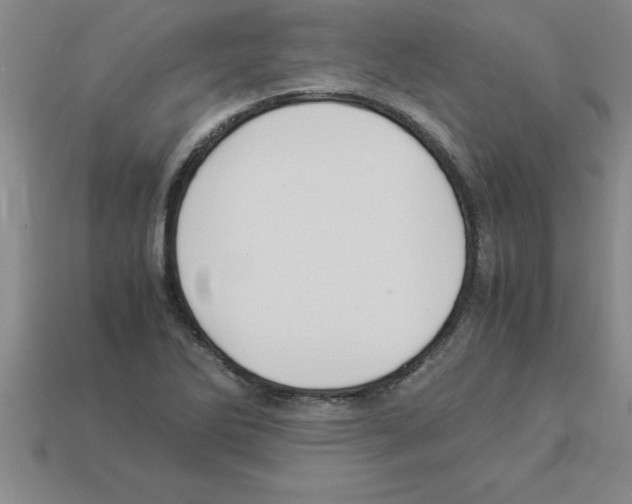 X0000112881270200910021346