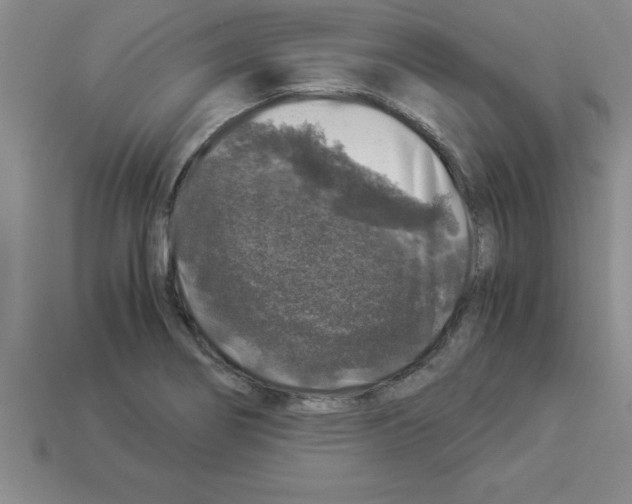 X0000112881274200910021346