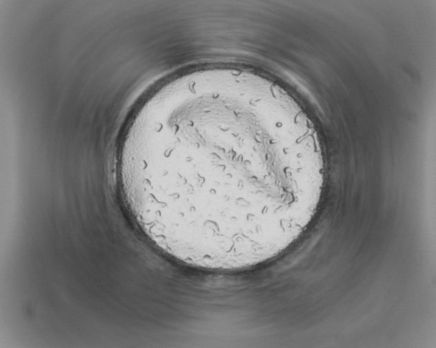 X0000112881275200910021346