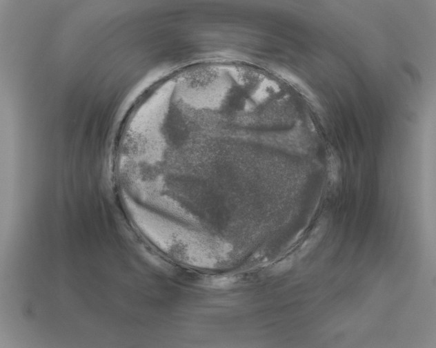 X0000112881278200910021346