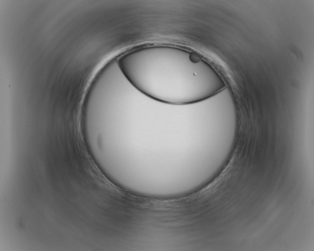 X0000112881280200910021346