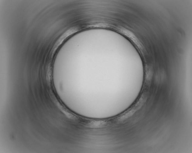 X0000112881282200910021346