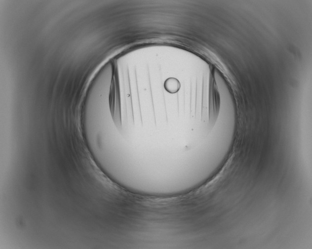 X0000112881284200910021346