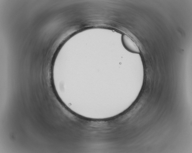 X0000112881285200910021346