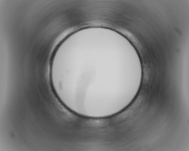 X0000112881286200910021346