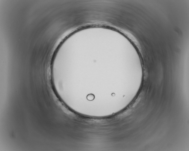 X0000112881287200910021346