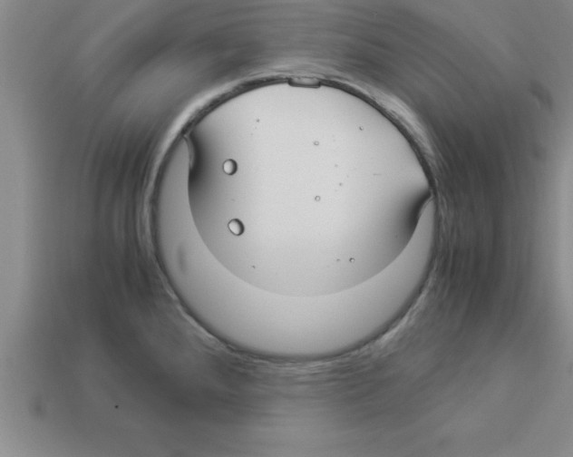 X0000112881288200910021346