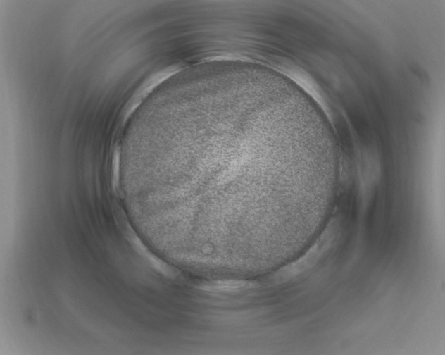 X0000112881290200910021346