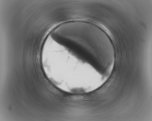 X0000112881291200910021346