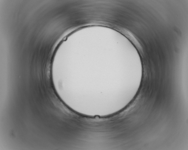 X0000112881292200910021346