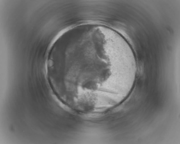 X0000112881294200910021346