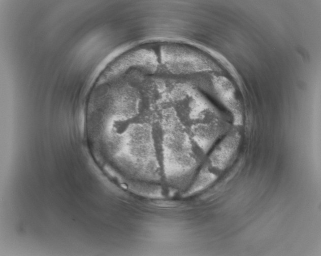 X0000112881295200910021346