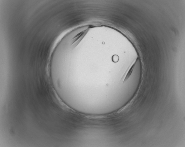 X0000112881296200910021346