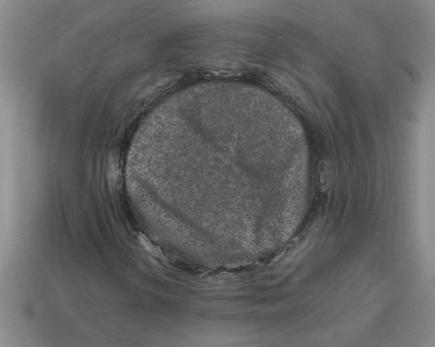 X0000112881298200910021345