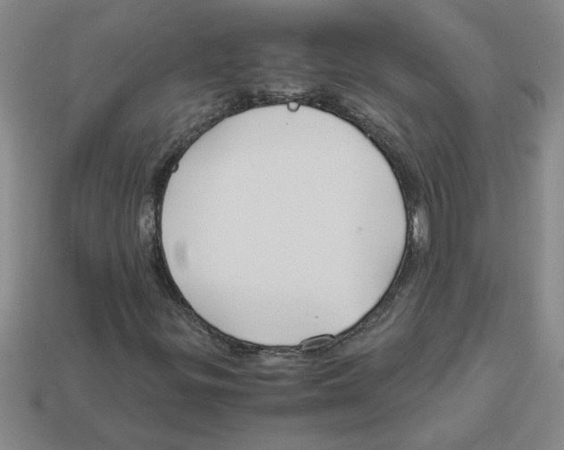 X0000112881299200910021345